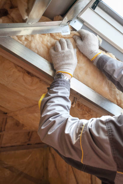 Best Insulation Installation Services in Golden Meadow, LA